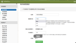 实体服务器+内网穿透=公网服务器