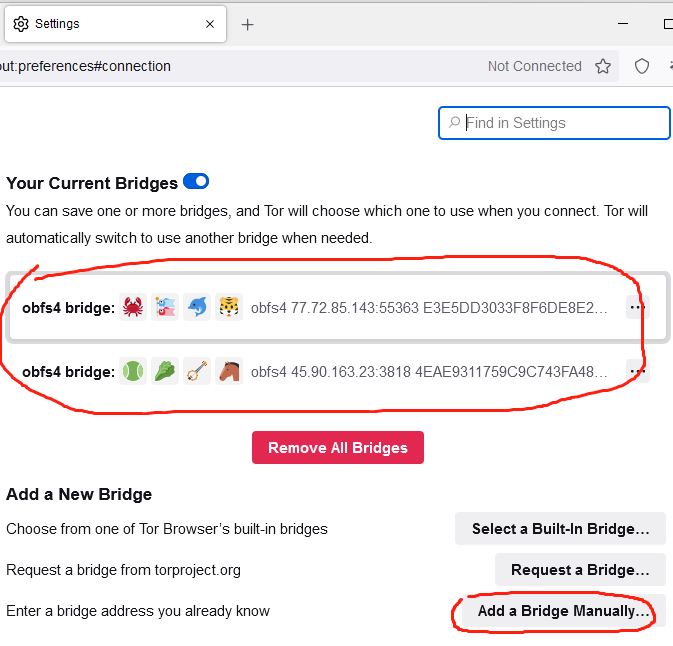 洋葱的安装与使用 洋葱的安装与使用