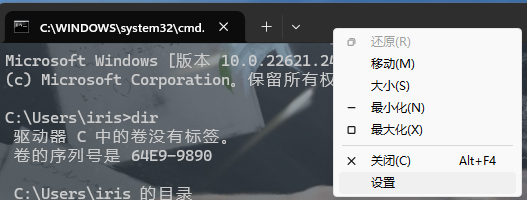 给CLI换皮肤