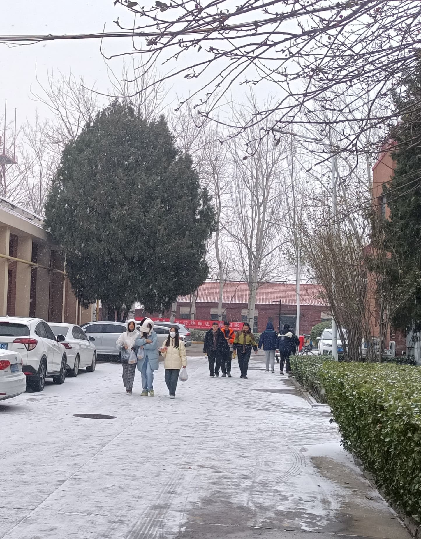 初雪 初雪