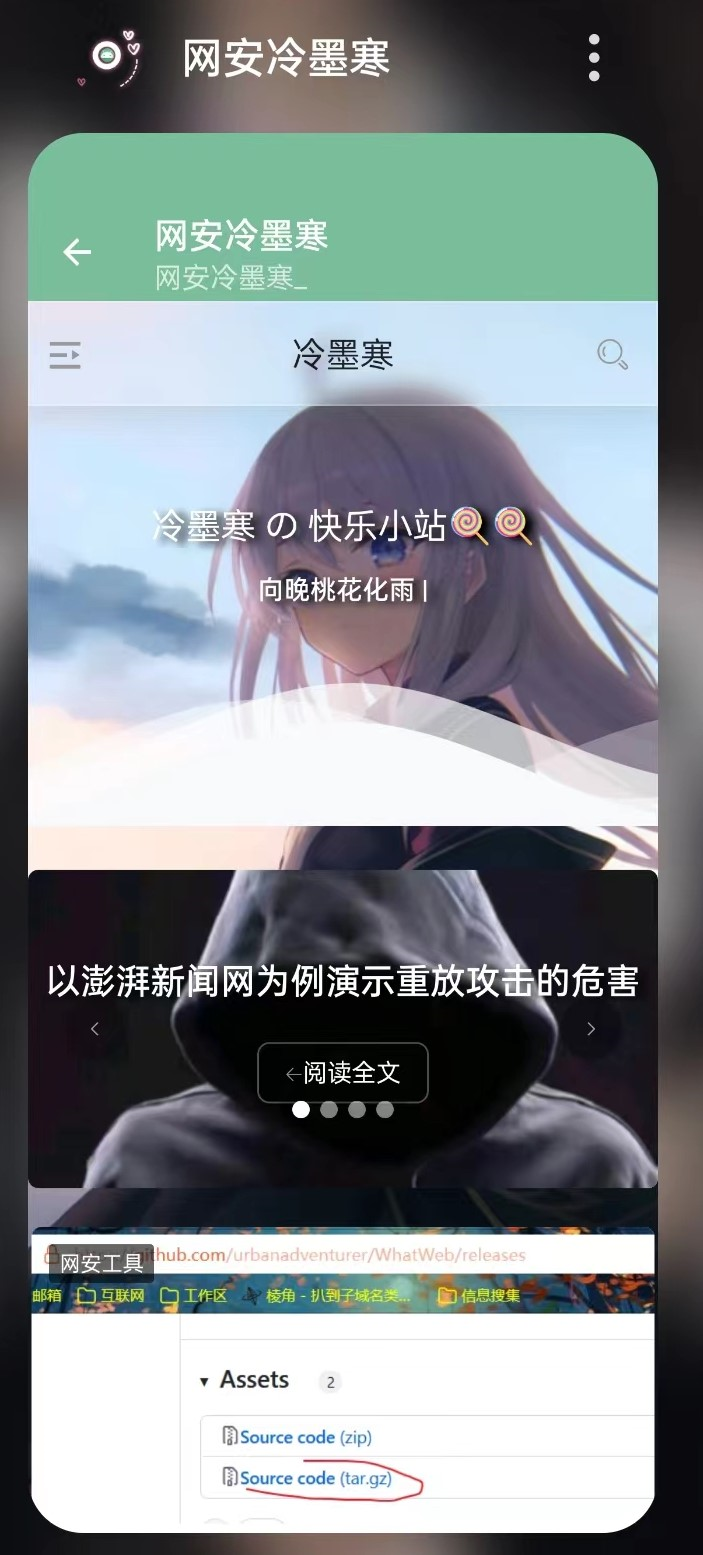 网页转app & 发布本站app版