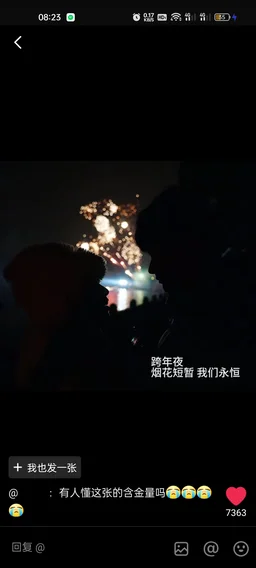 密码保护：致自己